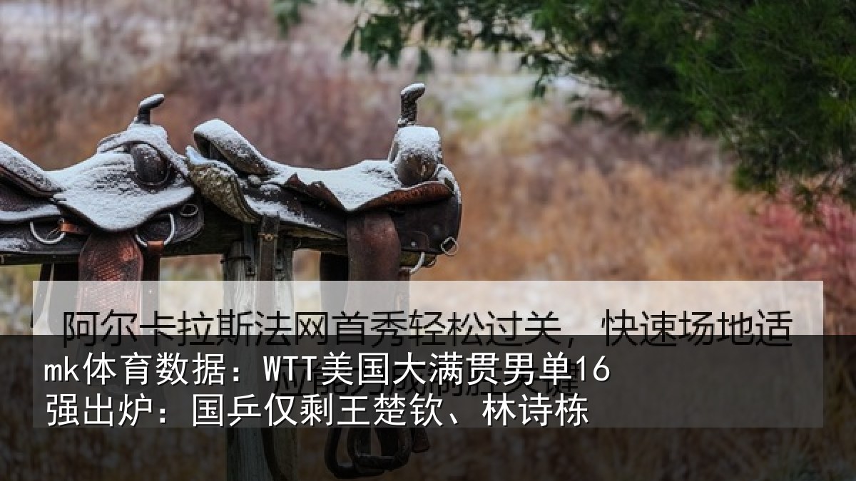 mk体育数据：WTT美国大满贯男单16强出炉：国乒仅剩王楚钦、林诗栋