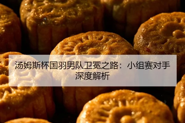 汤姆斯杯国羽男队卫冕之路：小组赛对手深度解析