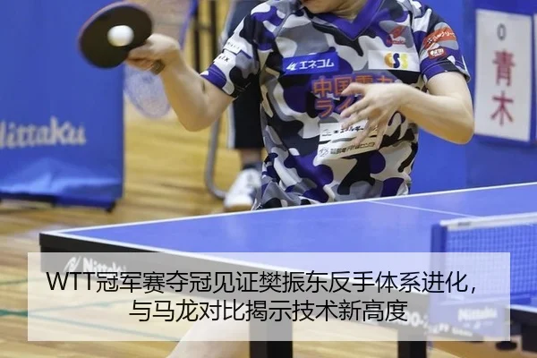 guan-jun-sai-duo-guan-jian-zheng-fan-zhen-dong-fan-shou-ti-xi-jin-hua-yu-ma-long-dui-bi-jie-shi-ji-shu-xin-gao-du-3-225.jpg