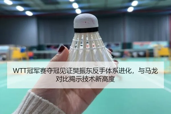 WTT冠军赛夺冠见证樊振东反手体系进化，与马龙对比揭示技术新高度
